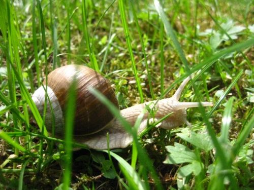 photo IMG_0231.jpg