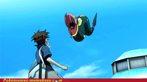 Pokemon.gif