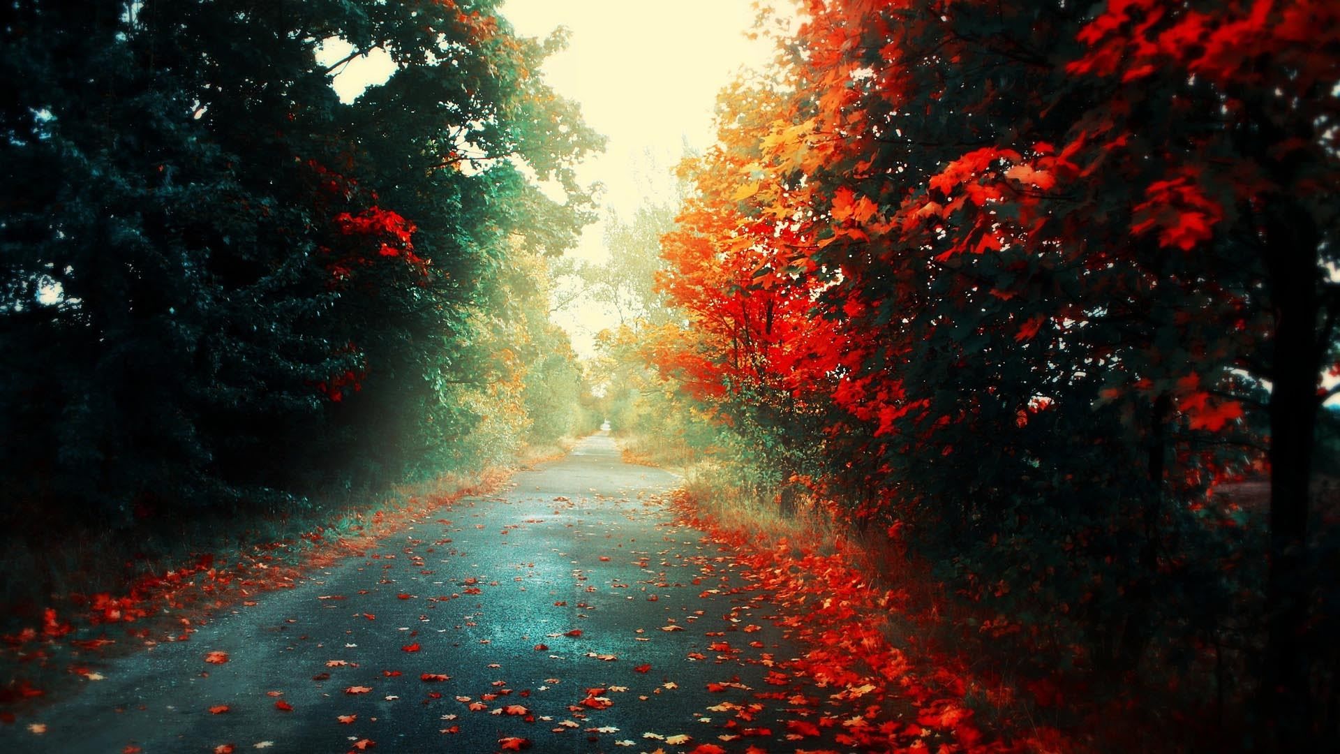 Colorful-Autumn-Road_wwwFullHDWppcom_.jp