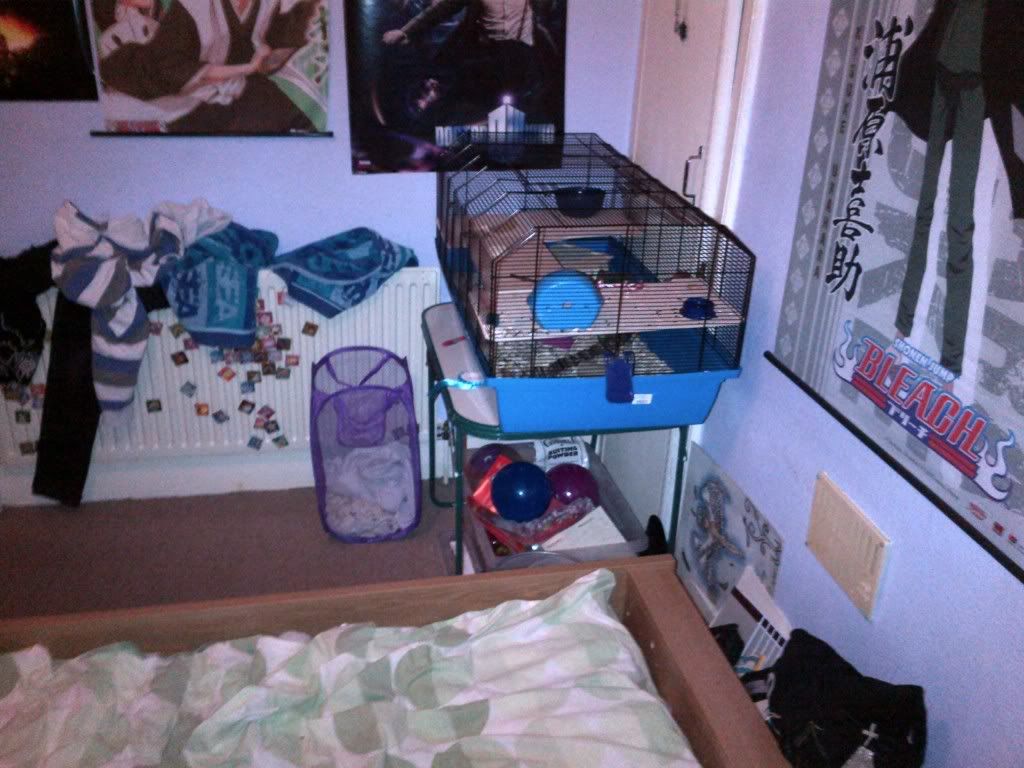 Your Hamster Rooms/Areas and Storage Page 7 Hamster Central