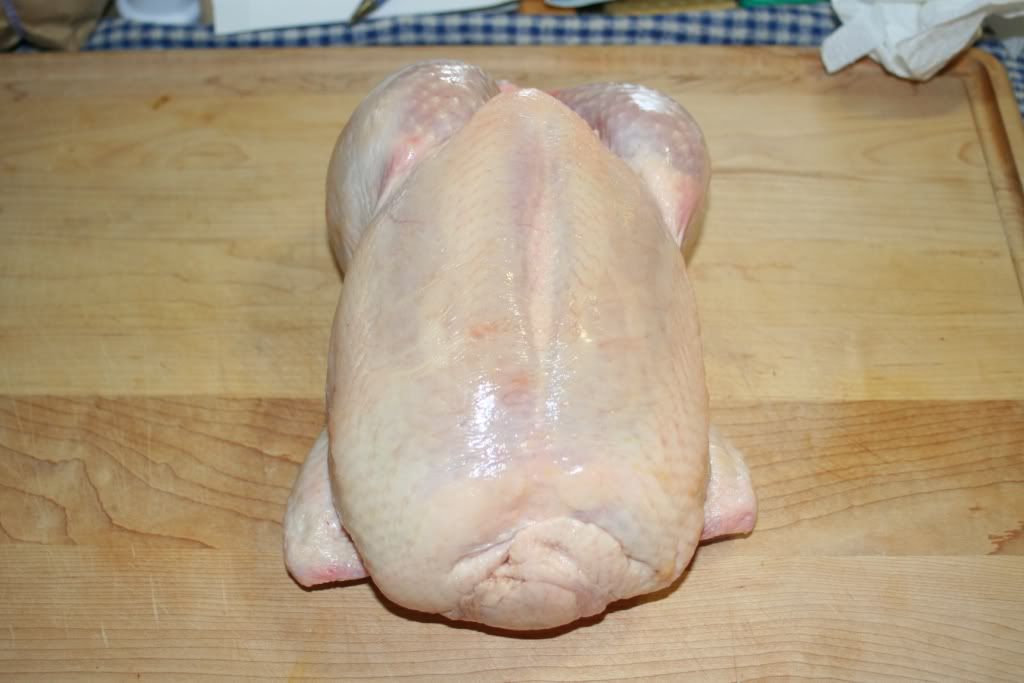 RicottaChicken007.jpg