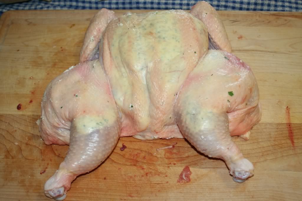 RicottaChicken009.jpg