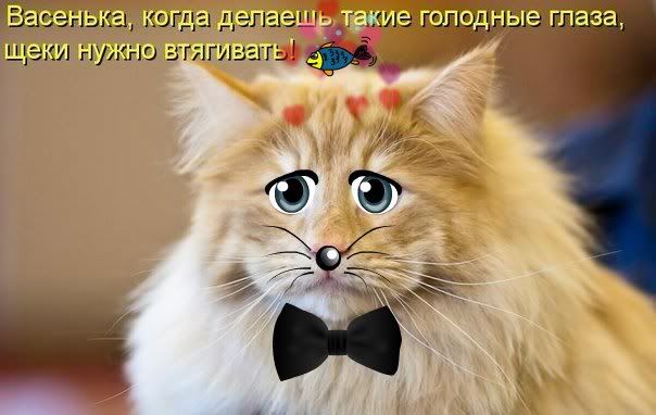 Фото в обработке шаблонами от сервиса Funny.Pho.to (http://funny.pho.to/ru/)