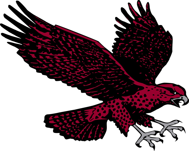 9746_maryland-eastern_shore_hawks-secondary-2007_zps51b1975b.png