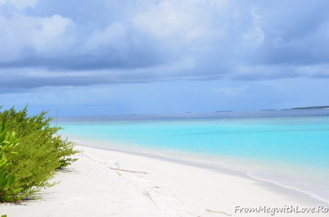 Maldive Maldive