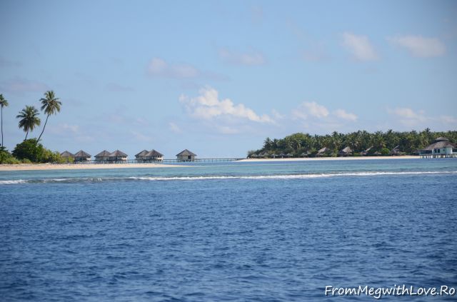 Maldive Maldive