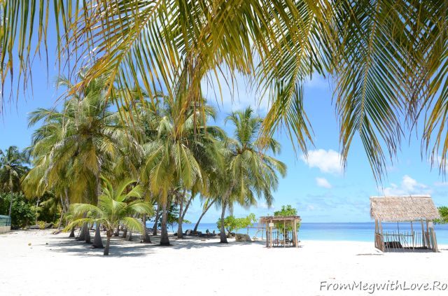 Maldive Maldive