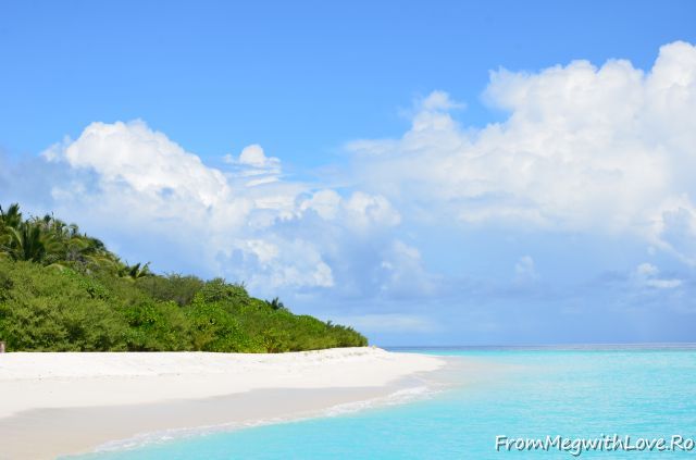 Maldive Maldive