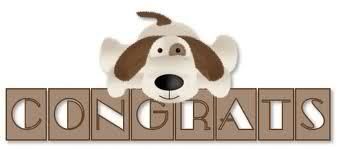 Congrats dog Pictures, Images and Photos