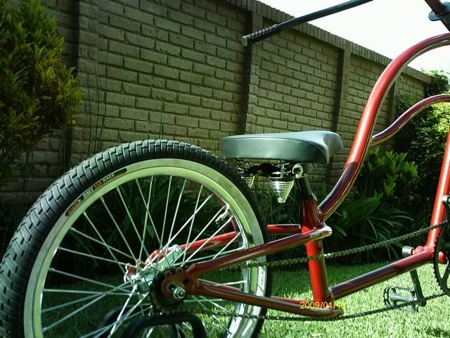 bicicleta bicicleta