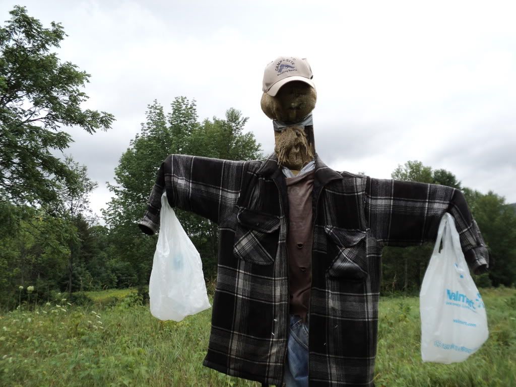 Great homestead pics, check'em out! - Homesteading Questions