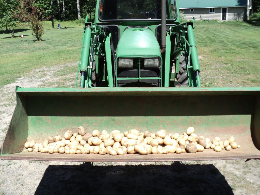 Great homestead pics, check'em out! - Homesteading Questions