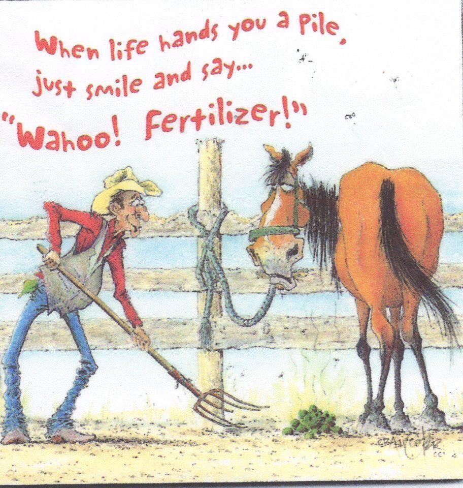 Extreme Composting - Homesteading Questions