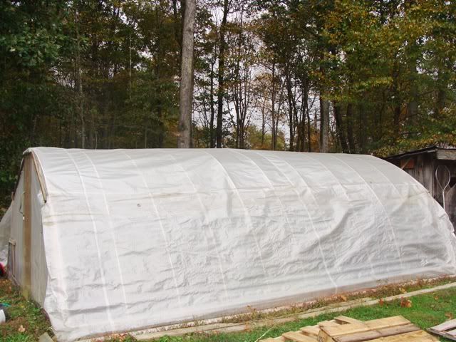 Green House Plastic - Homesteading Questions