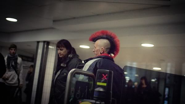 IMAGE: http://i1107.photobucket.com/albums/h394/thatbunny5/IMG_0599.jpg