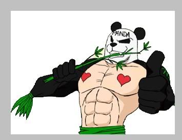 panda panda