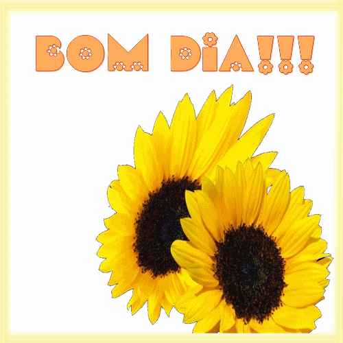 criacoeseetc.blogspot.com