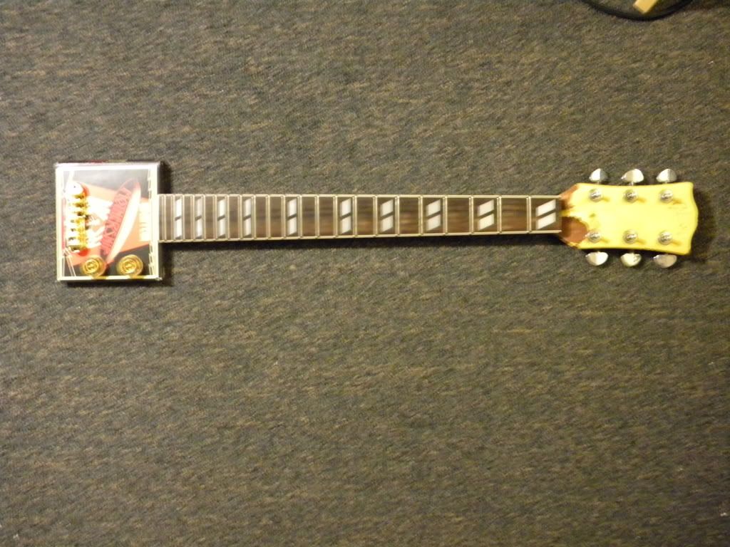 fretguitar001.jpg