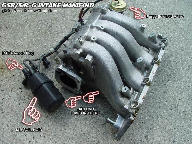 p72im_1.jpg