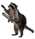 th_raccoon-jpg