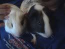snuggle.jpg