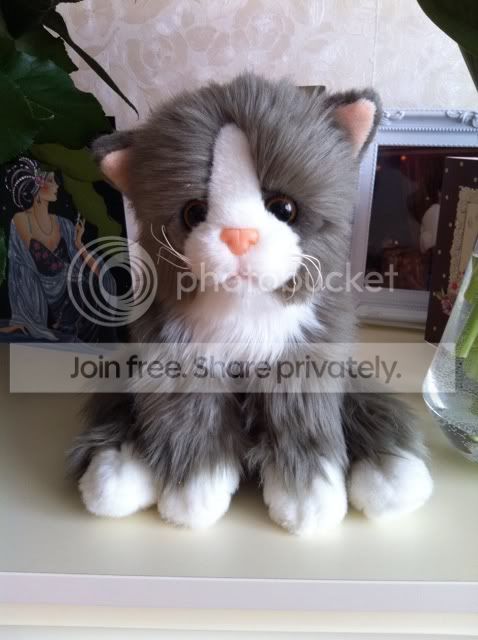 Photobucket Pictures, Images and Photos