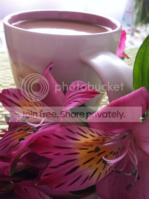 Photobucket Pictures, Images and Photos