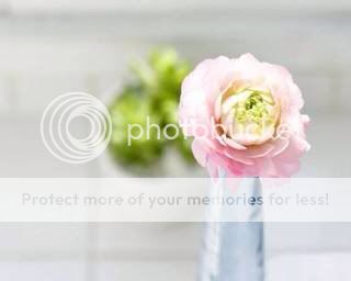 Photobucket Pictures, Images and Photos