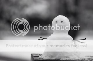 Photobucket Pictures, Images and Photos