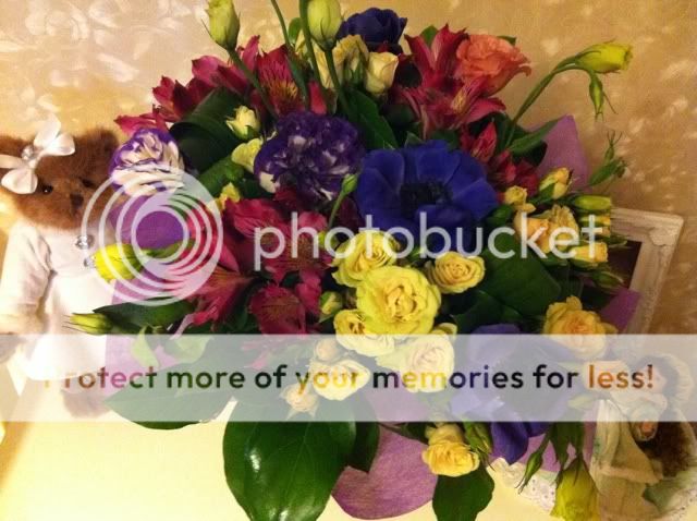 Photobucket Pictures, Images and Photos