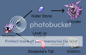 Shellbro evoluzione storia slowpoke slowbro