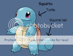 Squirtle name. Nome Squirtle.