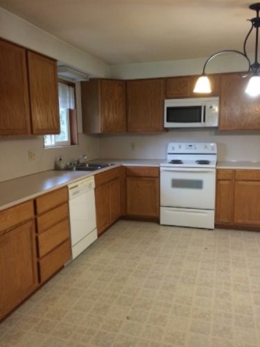 The Wits~ kitchen remodel 